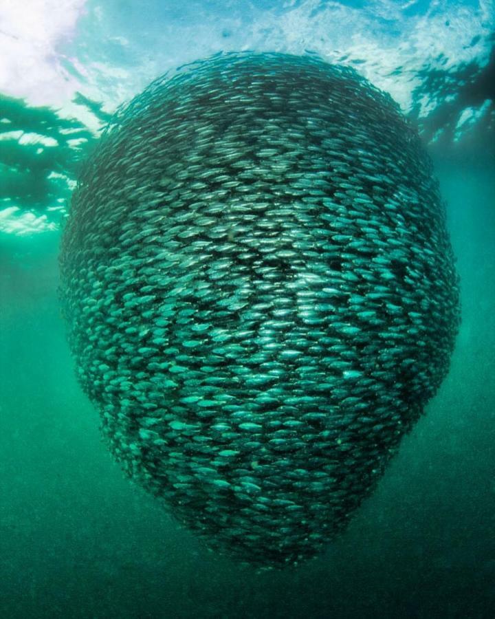 Punta Brava Villa Nuquí Dış mekan fotoğraf